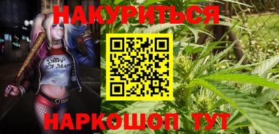 мдпв Нальчик