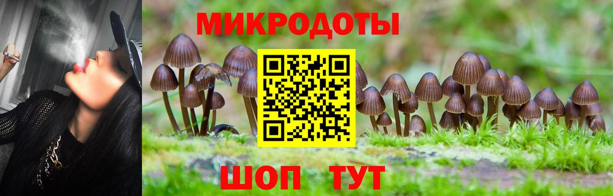 Псилоцибиновые грибы мицелий  Вход с VPN  Чайковский  Псилоцибиновые грибы Psilocybine cubensis 